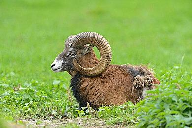 《战争机器：重装上阵》详情公布：画质体验全面升级